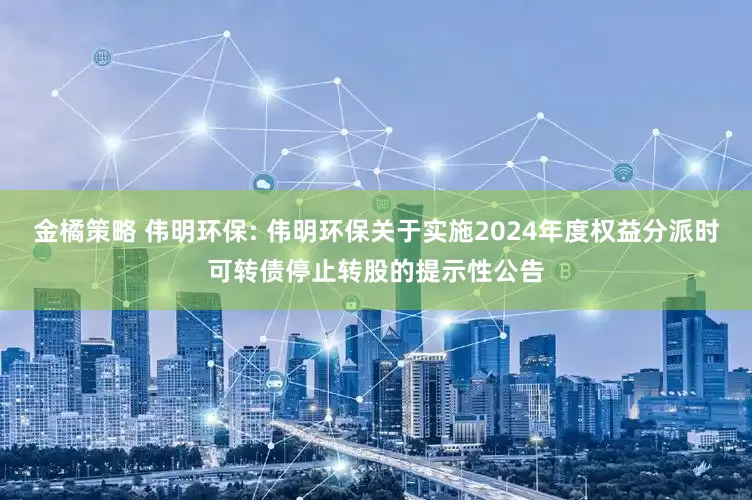 金橘策略 伟明环保: 伟明环保关于实施2024年度权益分派时可转债停止转股的提示性公告