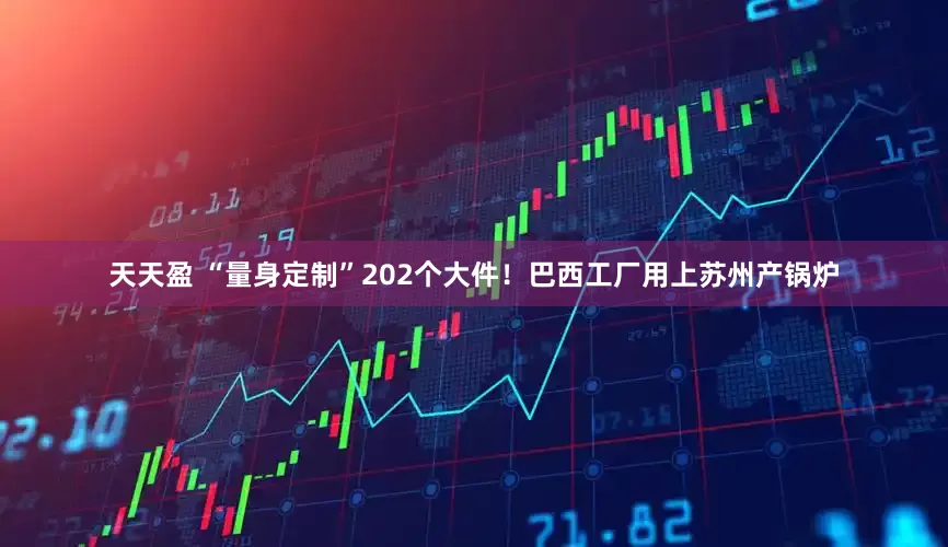 天天盈 “量身定制”202个大件！巴西工厂用上苏州产锅炉